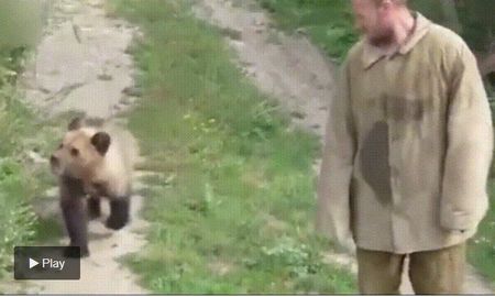 Crió a un oso durante cuatro años en su casa y terminó “devorado hasta los huesos” por el animal