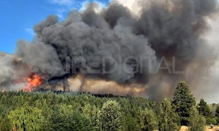 Brigadistas y Bomberos continuaban este viernes combatiendo un incendio fuera de control Brigadistas y Bomberos continuaban este viernes combatiendo un incendio fuera de control
