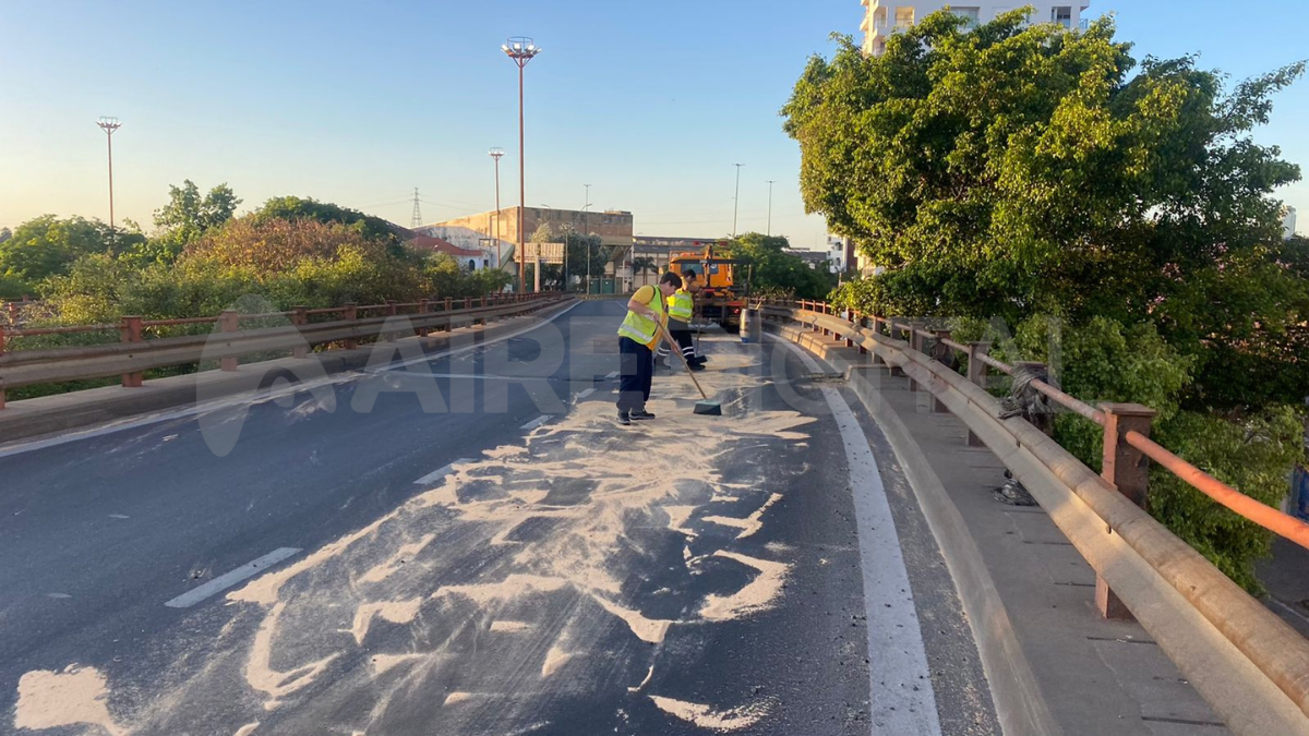 Personal municipal realiza un operativo de limpieza en el Viaducto Oroño.