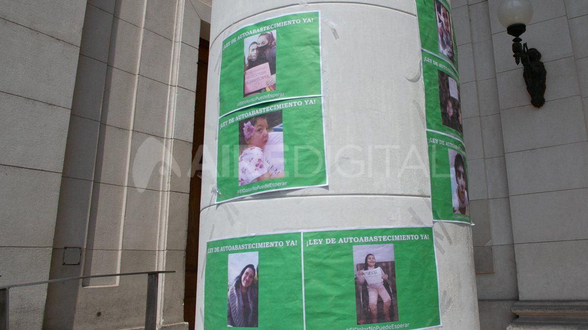 Sobre los motivos que demoran el tratamiento del proyecto en la cámara alta, las organizaciones cannábicas sostienen que tiene que ver con “falta de voluntad política”.