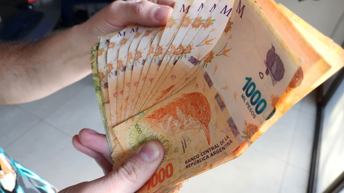 El Ministerio de Desarrollo Social tiene una muy buena noticia para los titulares del plan Potenciar Trabajo. El Ministerio de Desarrollo Social tiene una muy buena noticia para los titulares del plan Potenciar Trabajo.