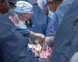 trasplantes en la pandemia: cuando la vida no puede esperar a que pase la cuarentena