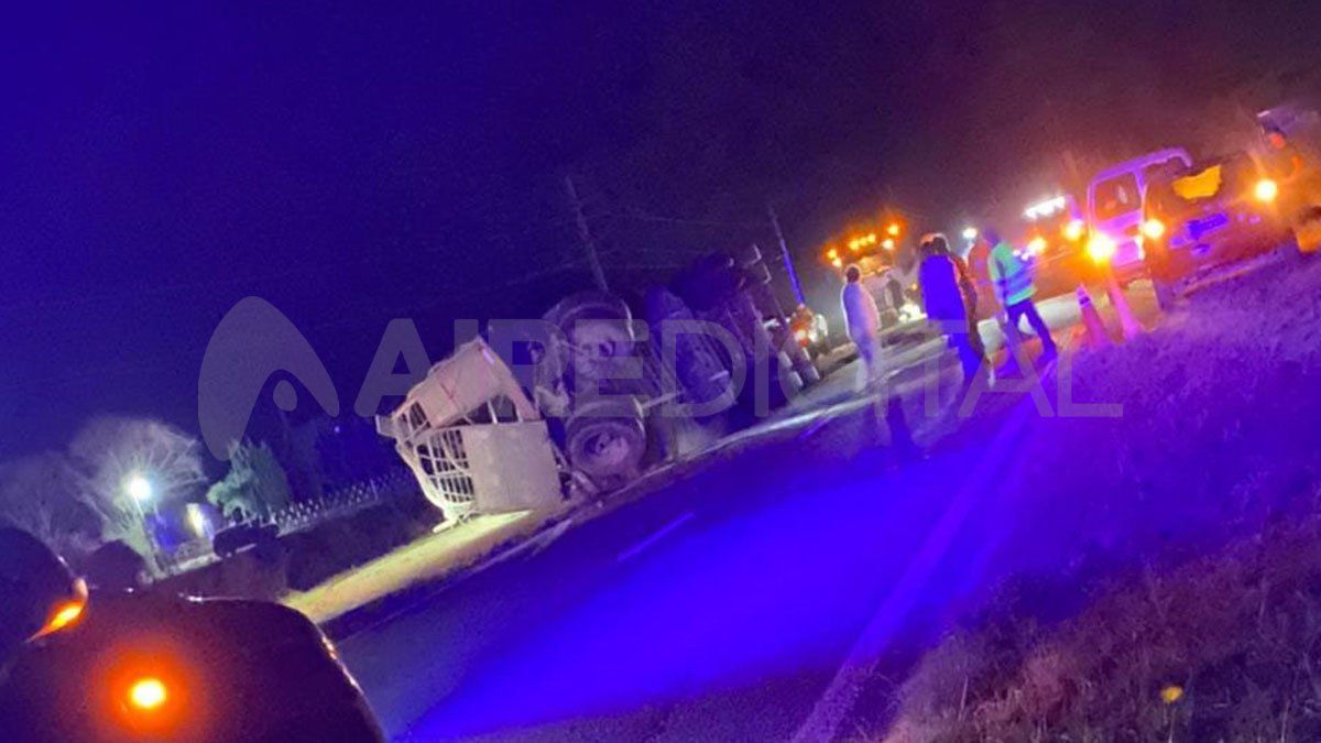 Por circunstancias que hasta el momento se desconocen, el camión tumbó, lo que le ocasionó la muerte a, al menos, uno de los animales.