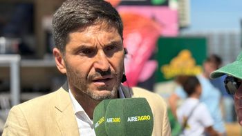 Pullaro adelantó cuándo se presenta el plan de alivio de deudas para estatales 