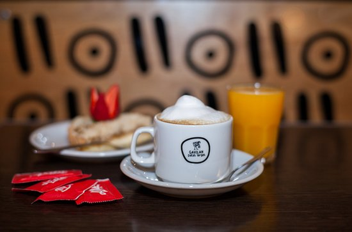 Gavilan Patas Largas