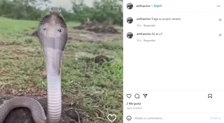 Cinthia Fernández fue tildada de víbora por su exsuegra.