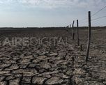 Casi el 40% de los suelos argentinos enfrenta problemas de degradación por la pérdida de masa boscosa y también por la erosión hídrica y eólica. También influye la agricultura. Casi el 40% de los suelos argentinos enfrenta problemas de degradación por la pérdida de masa boscosa y también por la erosión hídrica y eólica. También influye la agricultura.