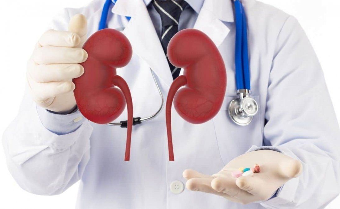 Salud del riñón