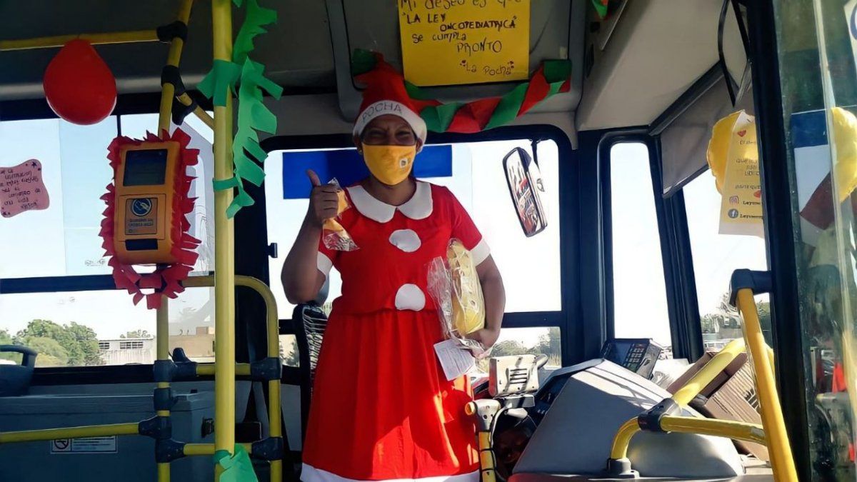 La historia de Pocha