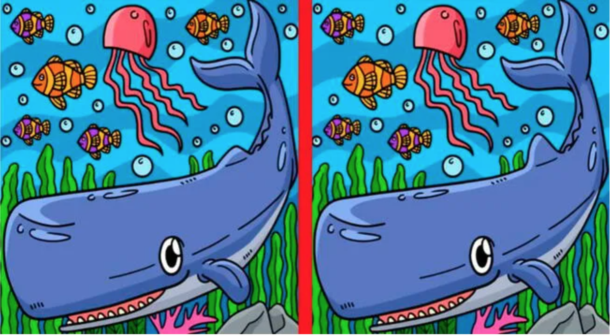 RETO VISUAL nivel PRO: solo el 2% encontró las 3 diferencias ¡en 4 segundos!