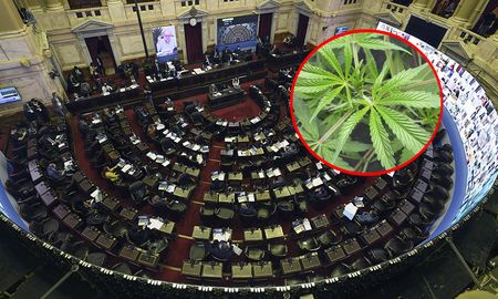 El diputado nacional por el Socialismo, Enrique Estévez se encuentra en proceso de elaboración de un proyecto de ley que busca regular el consumo de marihuana en Argentina, pero sobre todo, despenalizar a los usuarios de dicha sustancia. El diputado nacional por el Socialismo, Enrique Estévez se encuentra en proceso de elaboración de un proyecto de ley que busca regular el consumo de marihuana en Argentina, pero sobre todo, despenalizar a los usuarios de dicha sustancia.