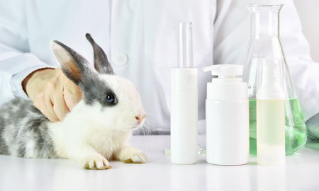 cruelty free cruelty free