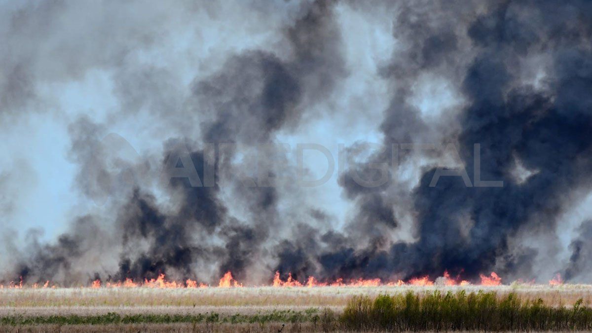 Los equipos de combate del fuego, coordinados por el Servicio Nacional del Manejo del Fuego (SNMF), con una base logística en San Pedro, comenzaron este martes una nueva jornada de trabajo.
