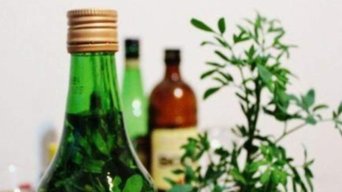 La caña con ruda se toma en ayunas para espantar los males y atraer la buena suerte. La caña con ruda se toma en ayunas para espantar los males y atraer la buena suerte.