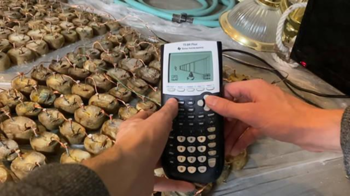 Con la energía producida por 45 kilos de papas