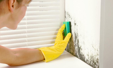 La receta secreta para limpiar las manchas de la pared. La receta secreta para limpiar las manchas de la pared.