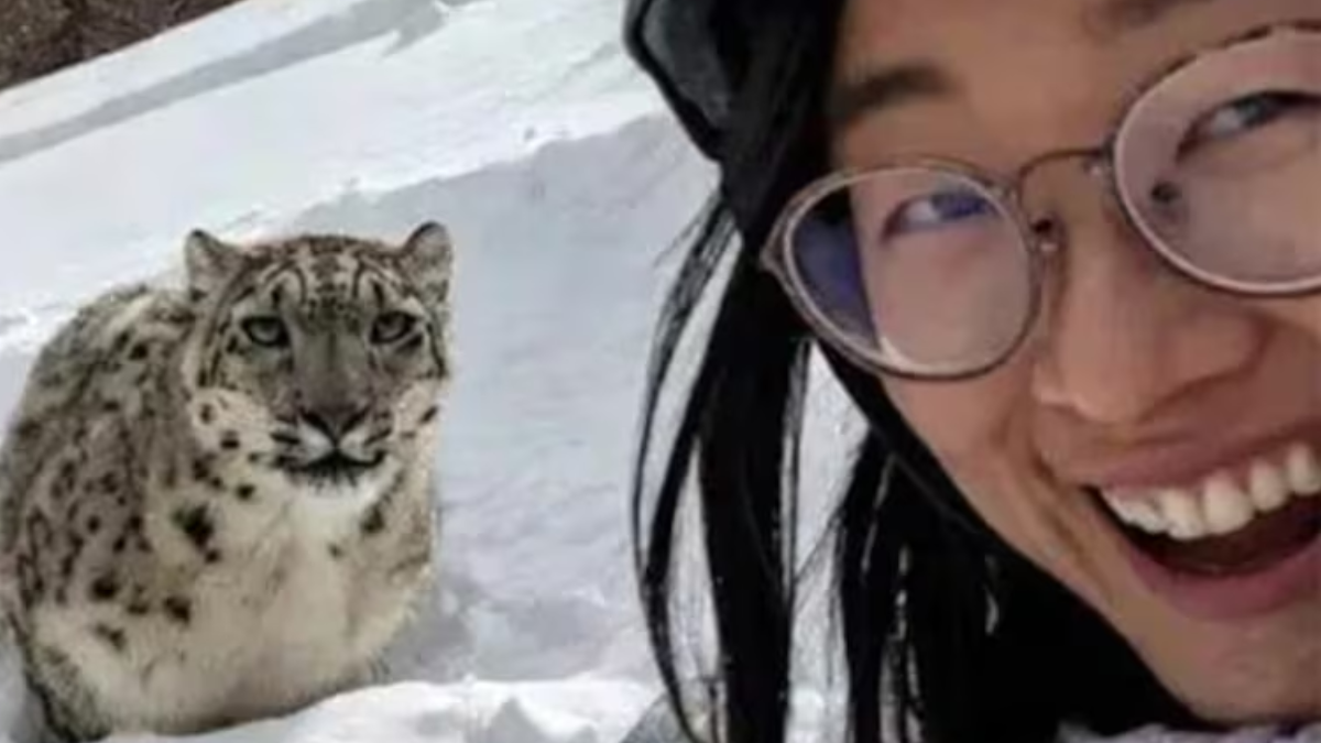 Se quiso sacar una selfie con un leopardo y terminó entre sus garras.