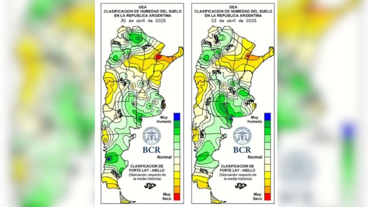 Los asesores explican que el buen tiempo ha sido clave para avanzar con el 70% de la cosecha de soja de primera. Los asesores explican que el buen tiempo ha sido clave para avanzar con el 70% de la cosecha de soja de primera.