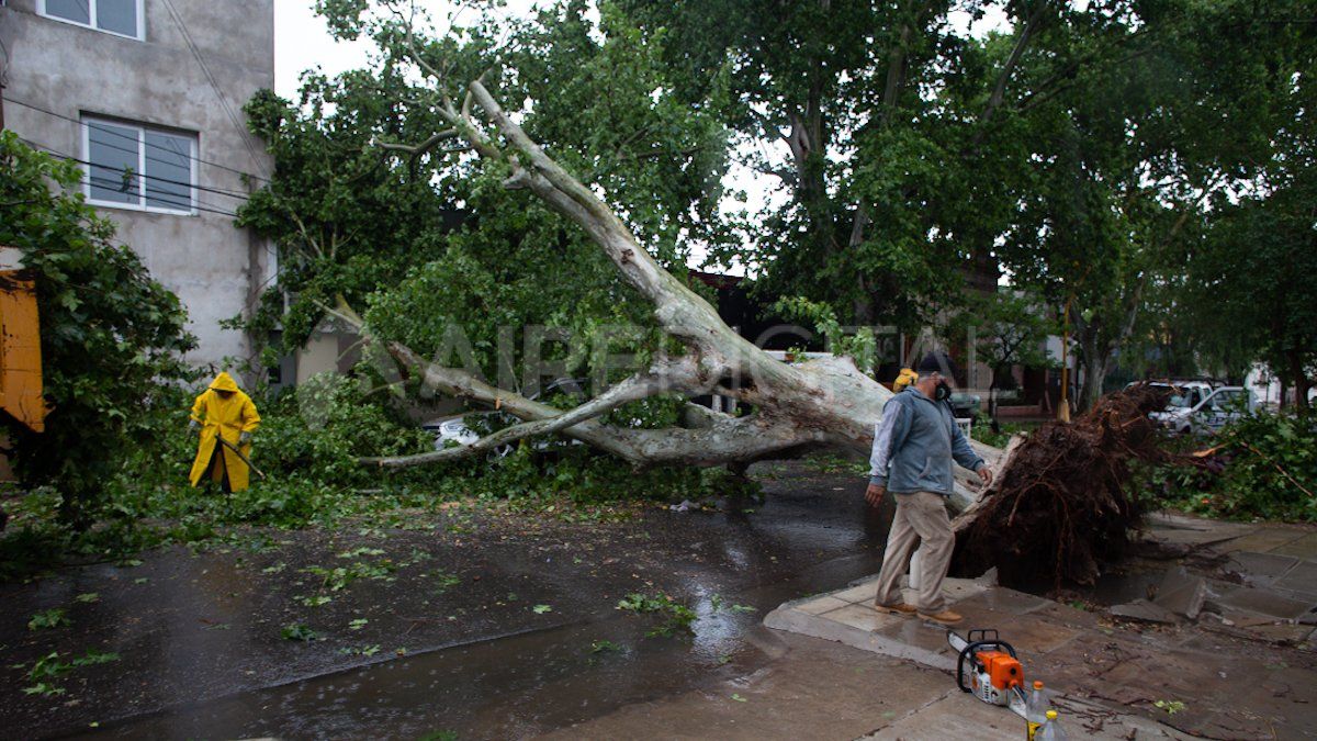 El personal de la Municipalidad de Santa Fe comenzó este martes a la mañana con la limpieza de las calles.