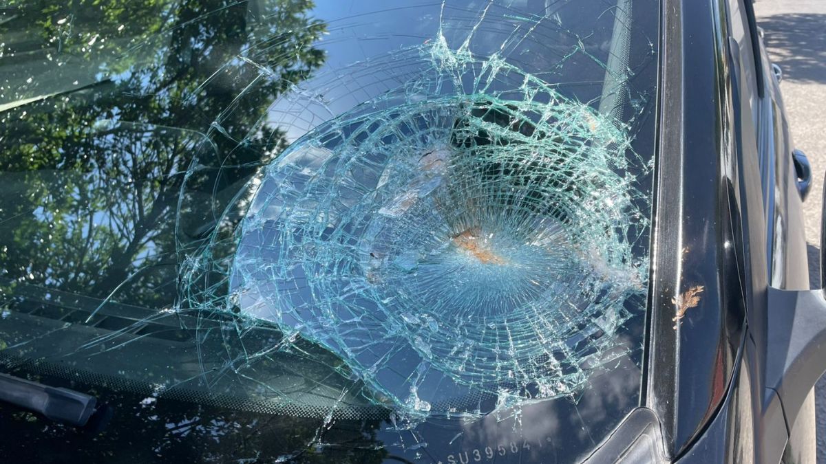 El parabrisas de uno de los veh&iacute;culos qued&oacute; completamente da&ntilde;ado.