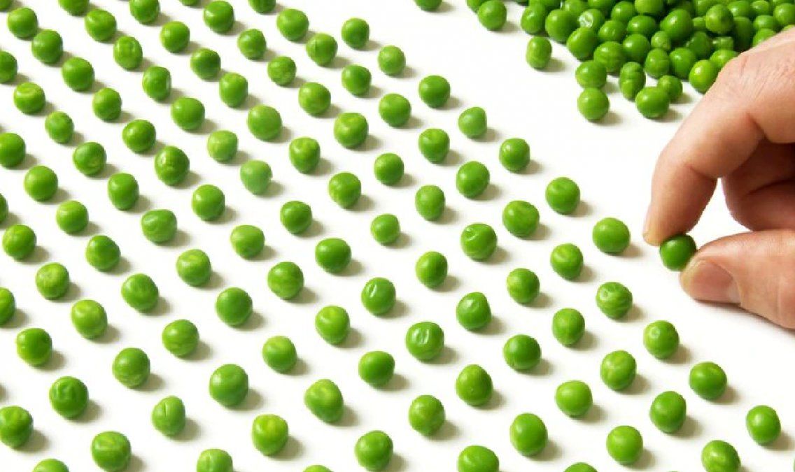 La limpieza y el orden pueden beneficiar o alterar la salud mental