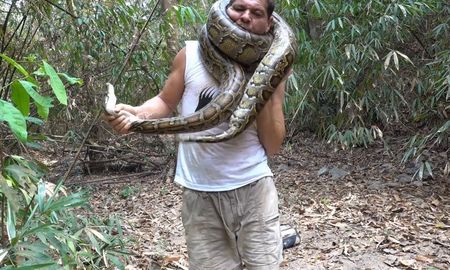 una piton salvaje casi mata a un famoso youtuber que se la enrosco en el cuello una piton salvaje casi mata a un famoso youtuber que se la enrosco en el cuello