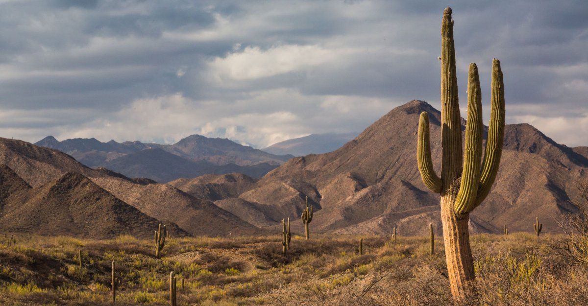 3 recorridos sorprendentes para realizar con auto en Argentina