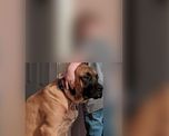 lo pusieron en penitencia y la imagen junto a su perro es viral lo pusieron en penitencia y la imagen junto a su perro es viral