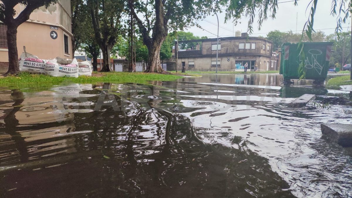 La lluvia hizo estragos en Rosario: calles inundadas, árboles caídos y  cortes de luz