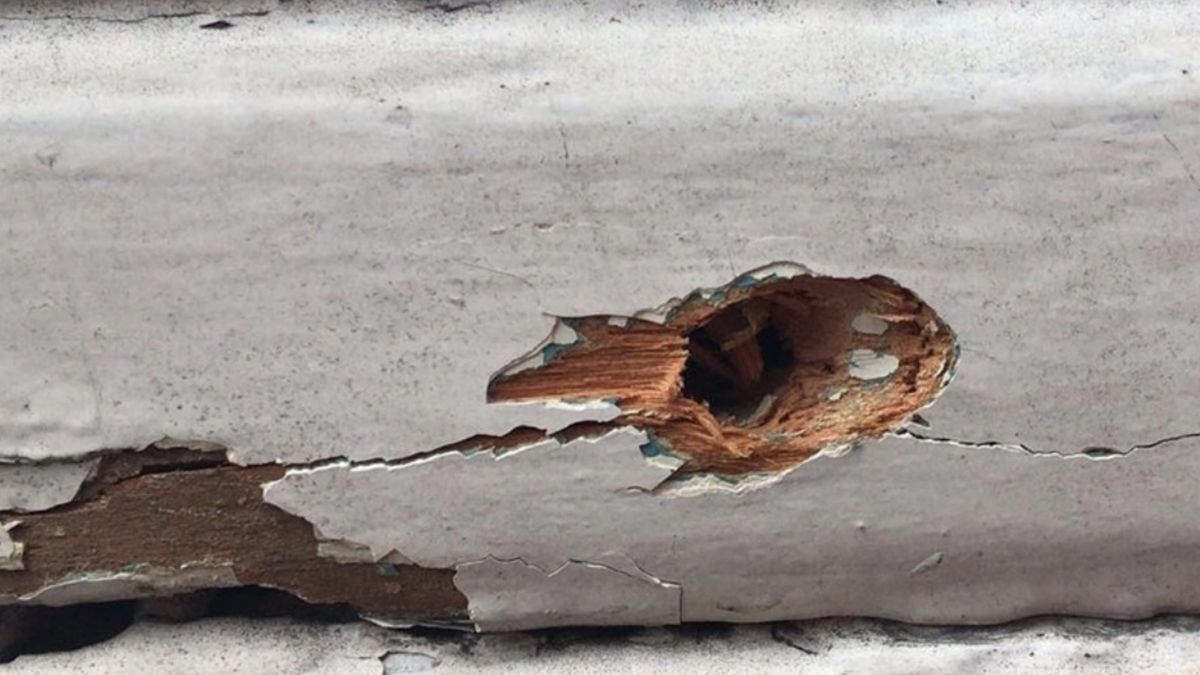 Uno de los impactos.&nbsp;