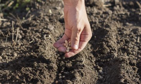 agricultura familiar: 130 productores se inscribieron en registro del senasa agricultura familiar: 130 productores se inscribieron en registro del senasa