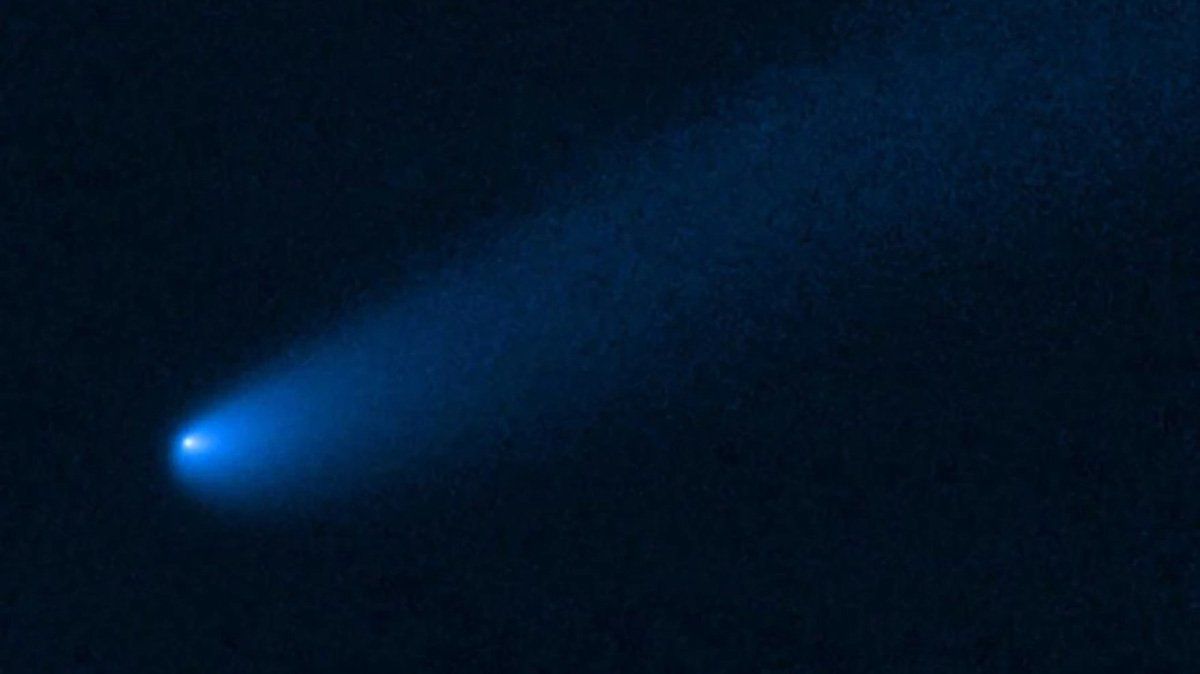 El cometa recorre una órbita elíptica cerrada y será fulminado cuando vuelva a pasar delante del Sol a fin de año.