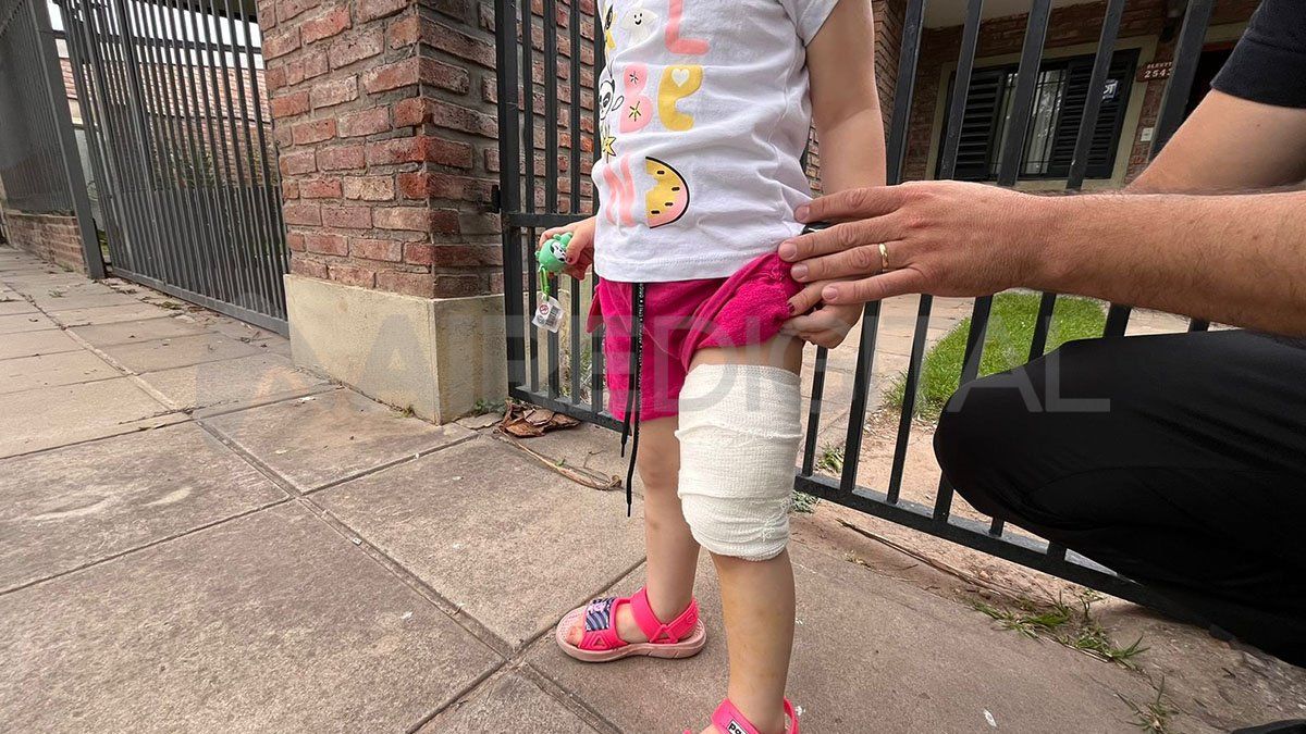 “Es un perro de familia. Son buena agente. Estaban desesperados. Me pedían perdón arrodillados. Fue angustiante para las dos partes”