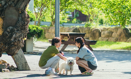 La imperdible serie coreana de Netflix con 12 episodios llenos de drama y romance que te va a encantar La imperdible serie coreana de Netflix con 12 episodios llenos de drama y romance que te va a encantar