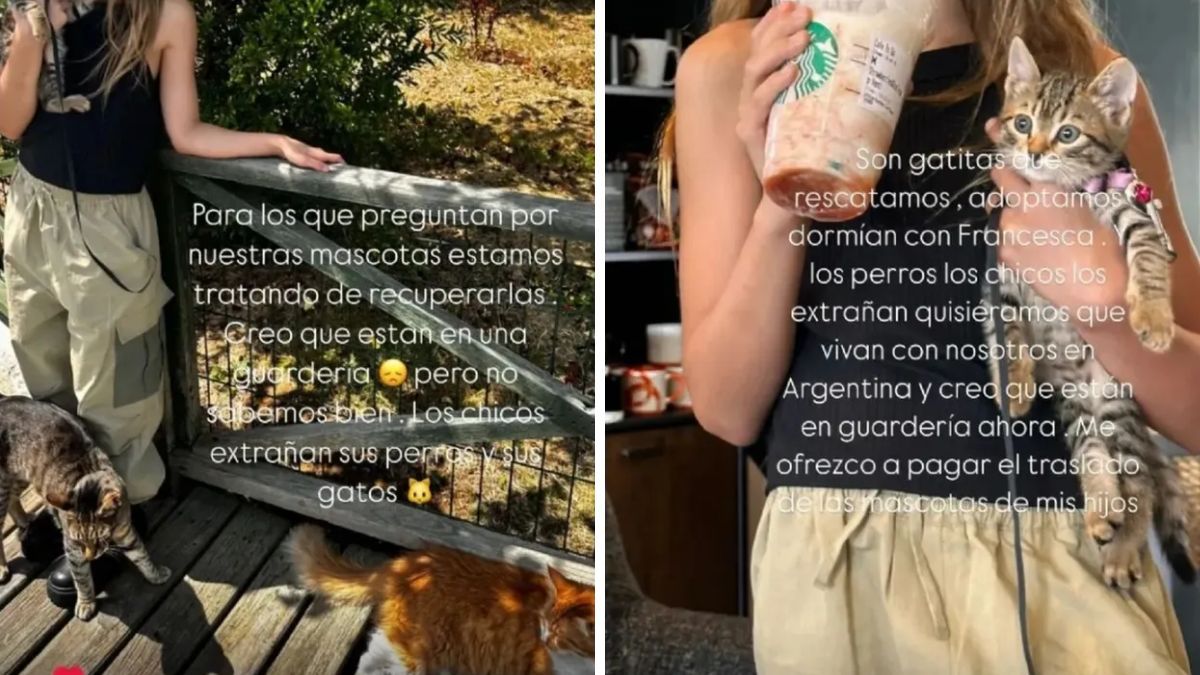 Wanda Nara intenta recuperar a sus gatitos que permanecen en Turquía. Wanda Nara intenta recuperar a sus gatitos que permanecen en Turquía.
