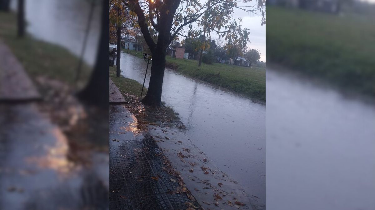 Calle Azopardo al 10300 hasta el callejón Presidente Roca. Calle Azopardo al 10300 hasta el callejón Presidente Roca.