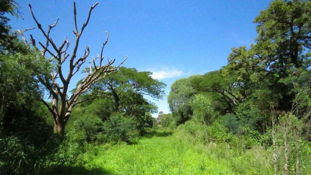 La reserva de Villa Gobernador Gálvez se sitúa entre esa ciudad y Rosario.