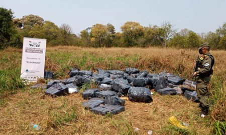 Hallan cerca de tres toneladas de marihuana acopiada en pleno monte en Misiones Hallan cerca de tres toneladas de marihuana acopiada en pleno monte en Misiones