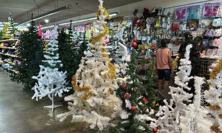 La temporada de la Navidad comenzó con fuerza en Santa Fe y Cotillón Fiesta, uno de los locales más tradicionales de la ciudad, se convirtió en el punto de referencia para la renovación de la decoración. La temporada de la Navidad comenzó con fuerza en Santa Fe y Cotillón Fiesta, uno de los locales más tradicionales de la ciudad, se convirtió en el punto de referencia para la renovación de la decoración.