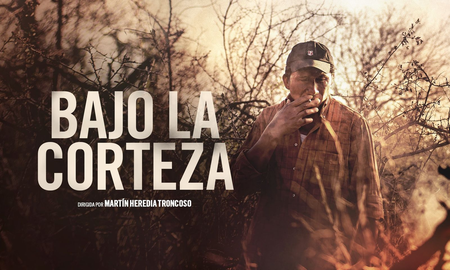 Aire de Santa Fe | Bajo la corteza, una ficción realizada por santafesinos sobre los incendios forestales