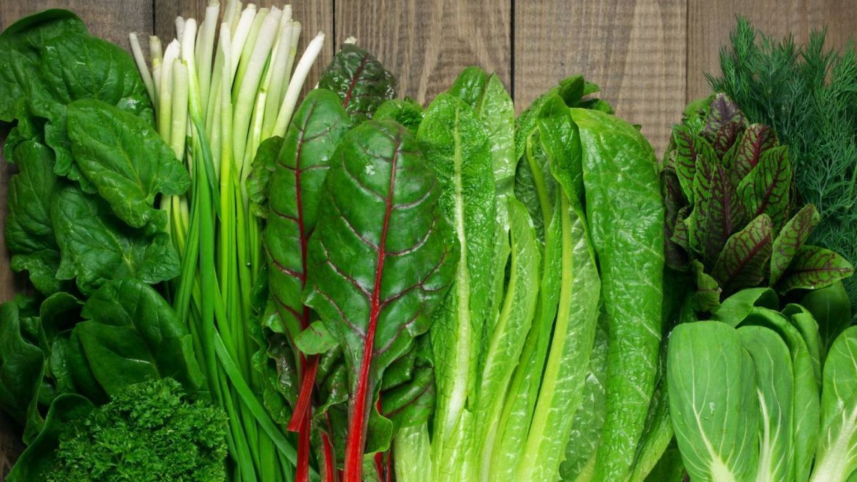 Diferencia entre acelga y espinaca. Diferencia entre acelga y espinaca.