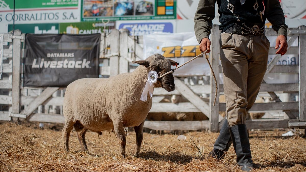 La casa consignataria La casa consignataria