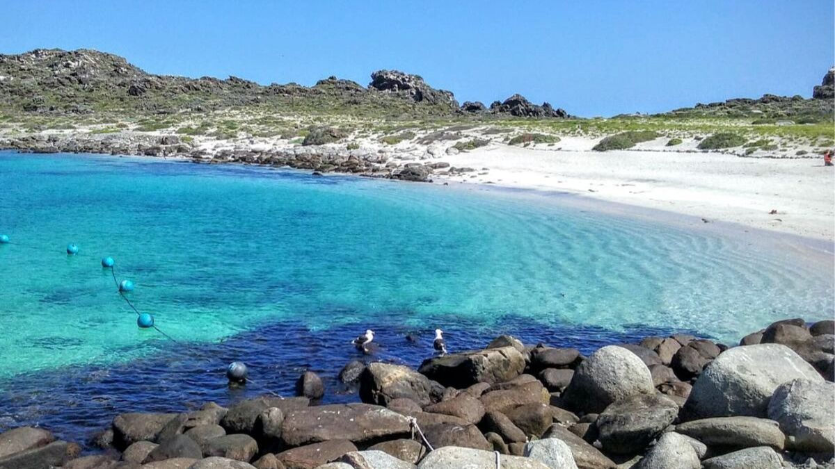 La influencia de la corriente de Humboldt en esta zona del Pacífico norte genera aguas frías y ricas en nutrientes, lo que permite una visibilidad submarina excepcional para el buceo. La influencia de la corriente de Humboldt en esta zona del Pacífico norte genera aguas frías y ricas en nutrientes, lo que permite una visibilidad submarina excepcional para el buceo.