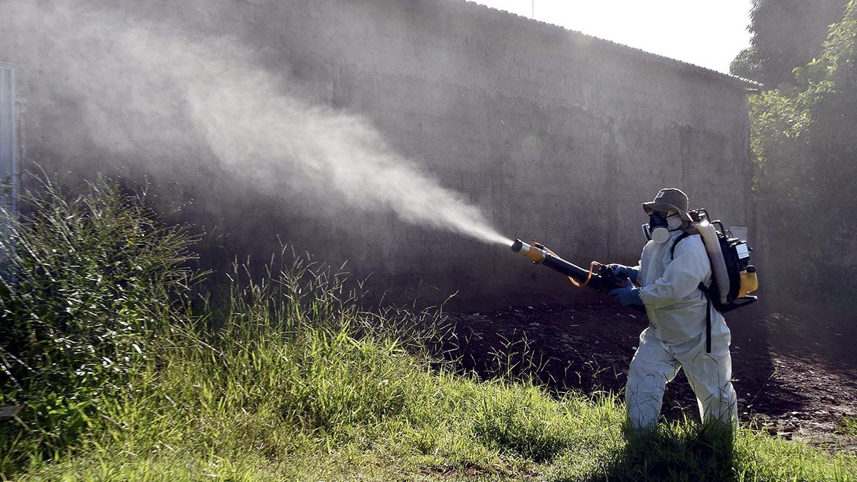 El brote actual es el peor de la historia de Santa Fe y ya duplica con creces las cifras de 2016.