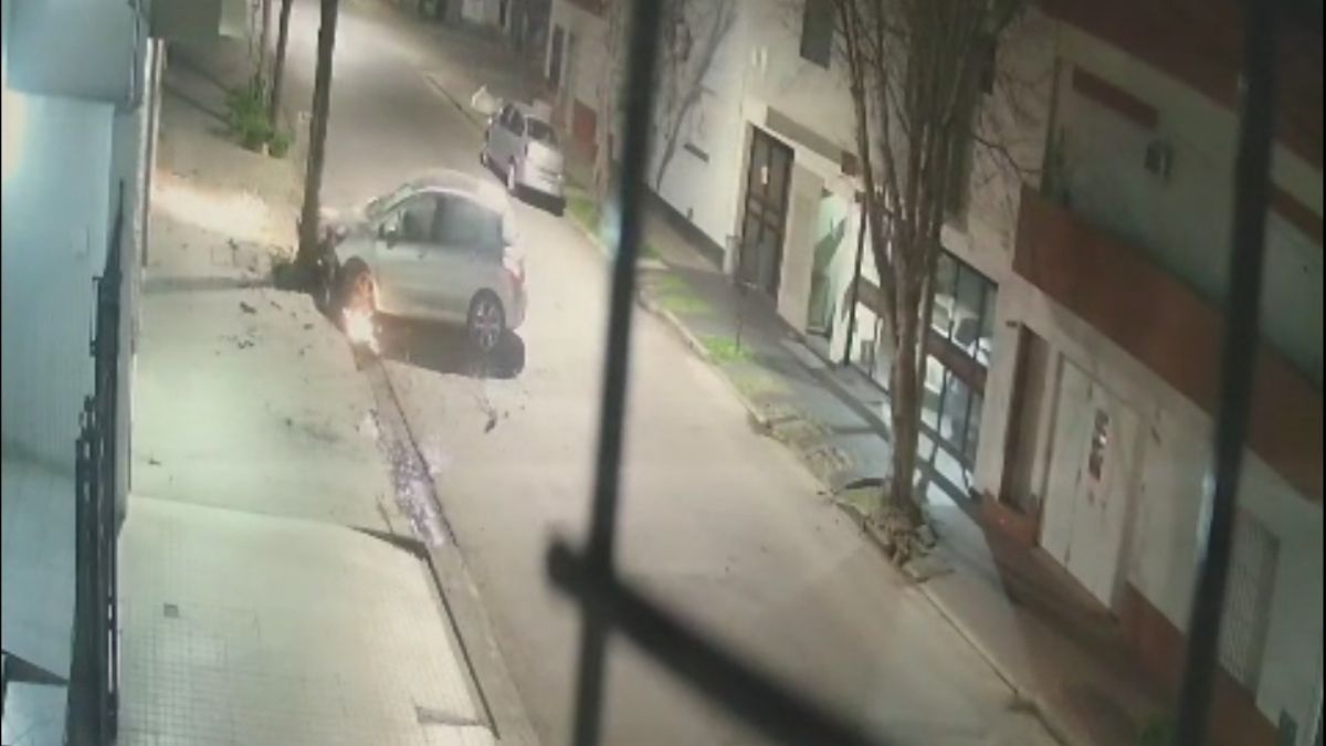 Video: así un hombre alcoholizado perdió el control del auto y atropelló un árbol en barrio Sur de Santa Fe