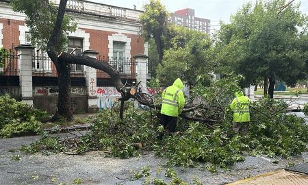 Personal del COBEM trabaja sobre un árbol que se cayó por la tormenta en Santa Fe. Personal del COBEM trabaja sobre un árbol que se cayó por la tormenta en Santa Fe.