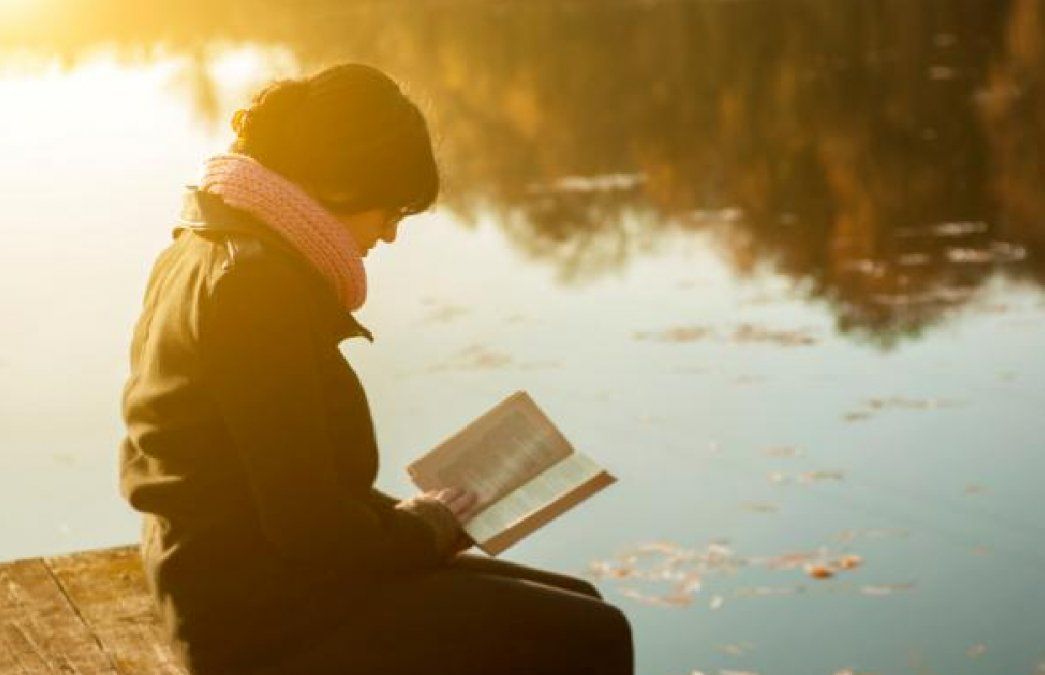 Hay quienes no se dejan querer tan fácilmente, por lo que establecer una relación con ellos puede ser muy difícil.