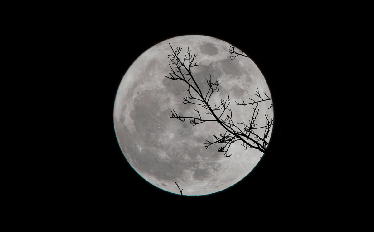 Con la luna nueva comienza un nuevo ciclo por eso se lo conoce como el momento indicado para plantear metas a cumplir.