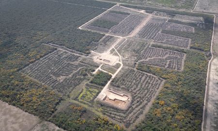 La imagen desde el drone de AIRE de las 47 hectáreas de bosque nativo arrasadas en Logroño, provincia de Santa Fe. La imagen desde el drone de AIRE de las 47 hectáreas de bosque nativo arrasadas en Logroño, provincia de Santa Fe.