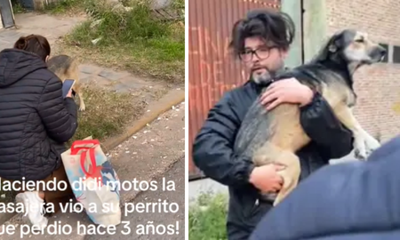 Iba en moto, encontró a su perro perdido desde hace tres años y se hizo viral en TikTok. Iba en moto, encontró a su perro perdido desde hace tres años y se hizo viral en TikTok.